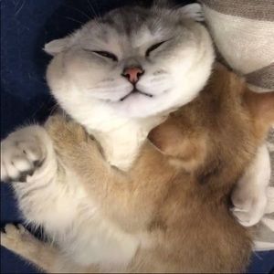 Meet your Posher, Cathy